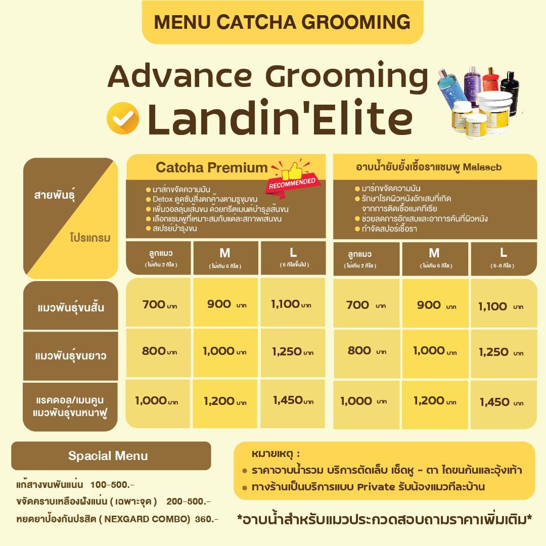 เมนู Advance Grooming: Catcha Premium และอาบยับยั้งเชื้อรา