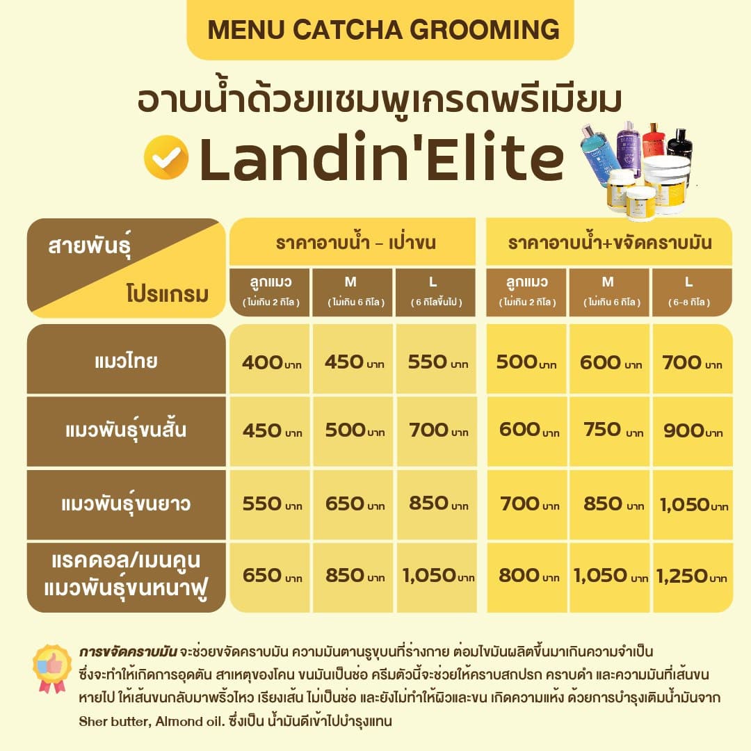 เมนูอาบน้ำ-เป่าขน และอาบน้ำ+ขจัดคราบมัน ทุกสายพันธุ์