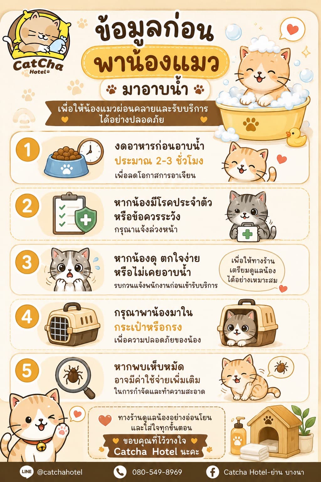ข้อมูลก่อนพาน้องแมวมาอาบน้ำที่ CatCha Hotel งดอาหารก่อนอาบ 2-3 ชั่วโมง แจ้งโรคประจำตัว พามาในกระเป๋าหรือกรง