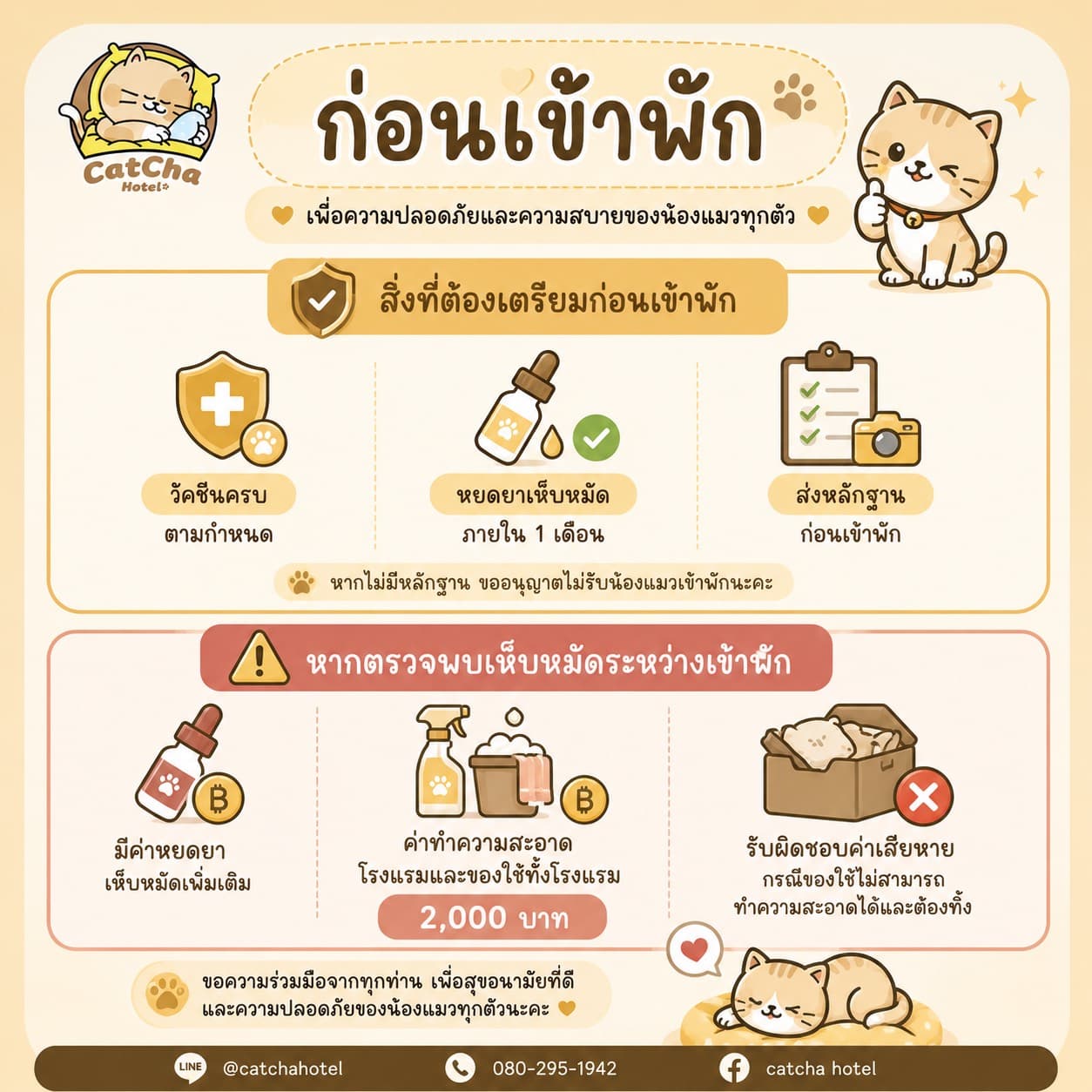 ก่อนเข้าพักโรงแรมแมว วัคซีนครบตามกำหนด หยดยาเห็บหมัดภายใน 1 เดือน ส่งหลักฐานก่อนเข้าพัก