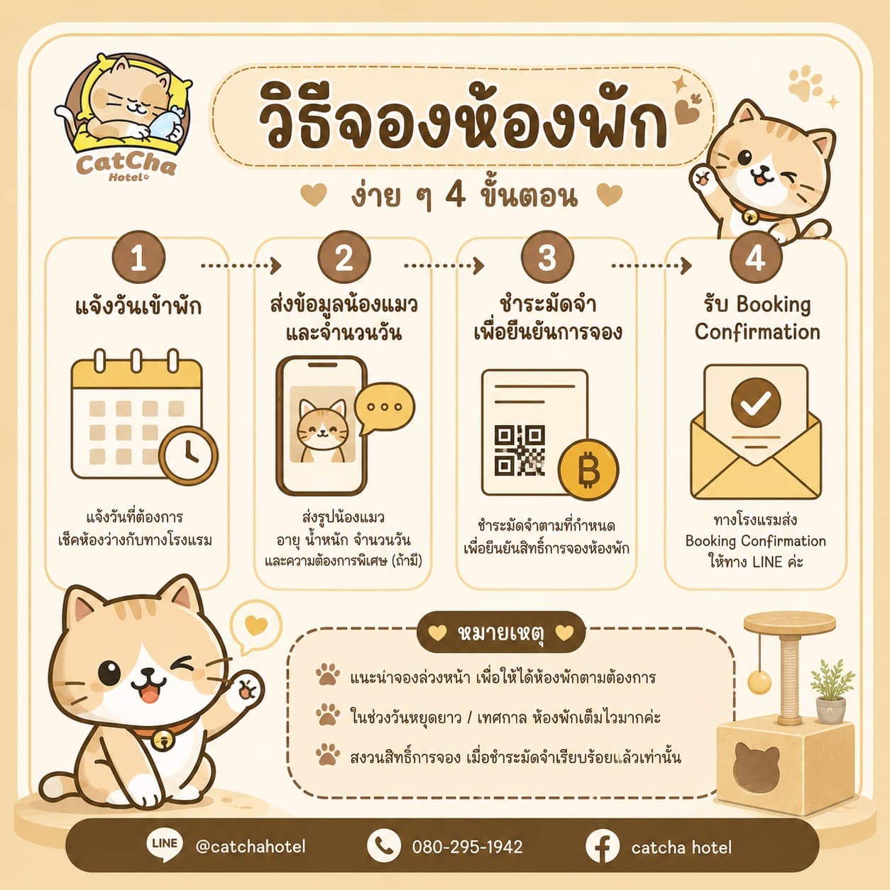 วิธีจองห้องพักโรงแรมแมว CatCha Hotel ง่ายๆ 4 ขั้นตอน แจ้งวัน ส่งข้อมูลน้องแมว ชำระมัดจำ รับ Booking Confirmation