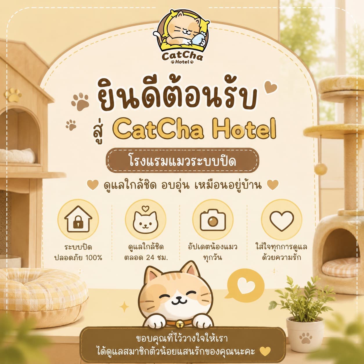 ยินดีต้อนรับสู่ CatCha Hotel โรงแรมแมวระบบปิด ดูแลใกล้ชิด อบอุ่นเหมือนอยู่บ้าน