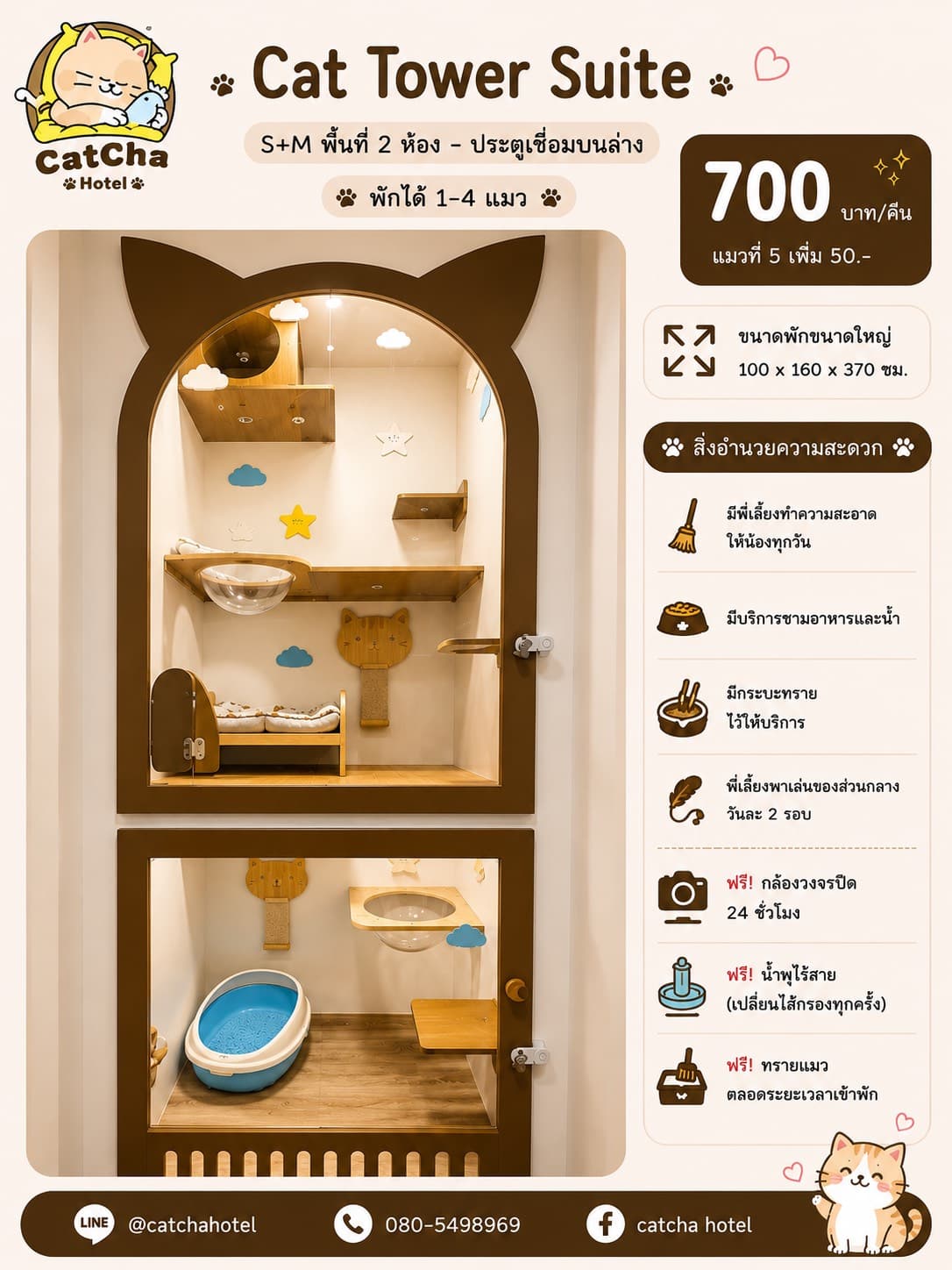 ห้องพักแมว Cat Tower Suite โรงแรมแมว CatCha Hotel บางนา เทพารักษ์
