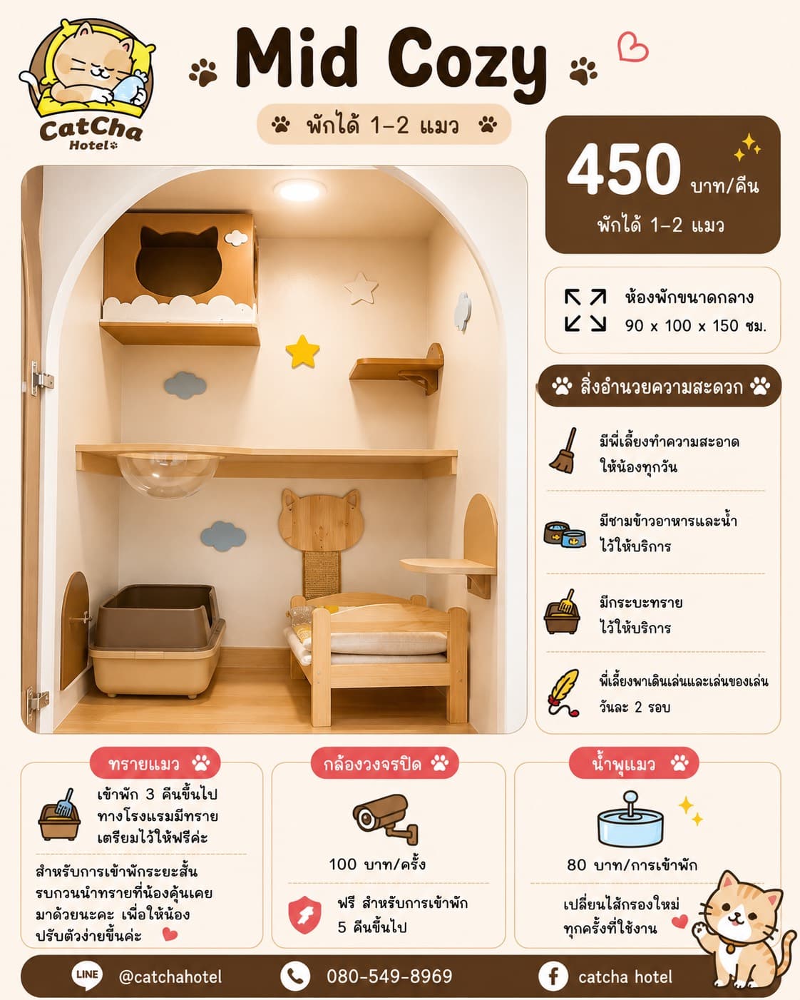 ห้องพักแมว Mid Cozy Room โรงแรมแมว CatCha Hotel บางนา เทพารักษ์